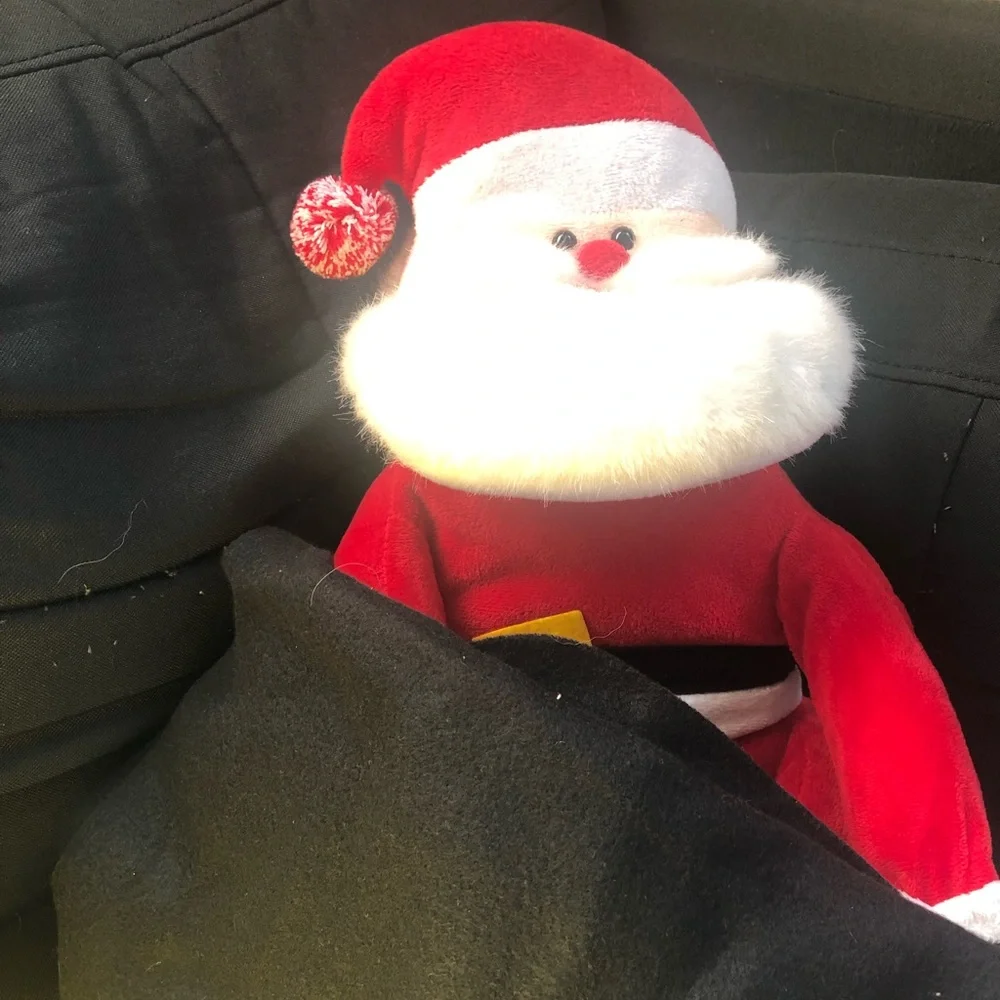 Plush Santa with Throw